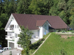 Opečna kritina Tondach (15)